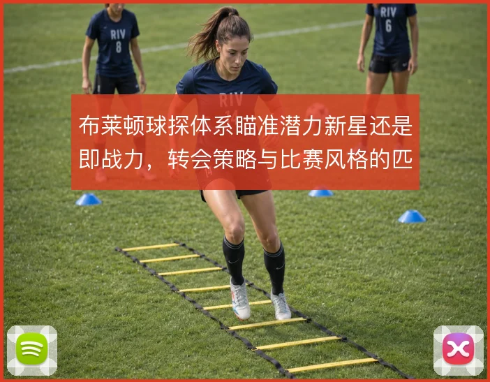 布莱顿球探体系瞄准潜力新星还是即战力,转会策略与比赛风格的匹配